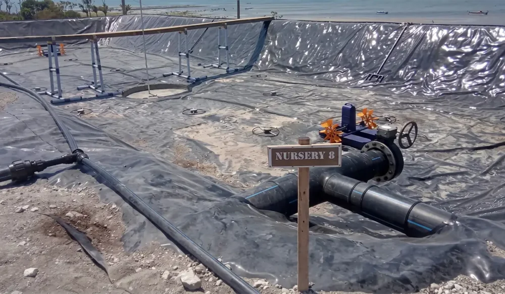 Geomembrane Menjadi Pilihan Mutlak untuk Kesuksesan Budidaya Udang Skala Besar