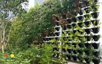 vertikal garden konvensional