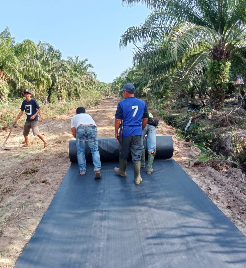 Woven Geotextile Separator for a Palm Oil Plantation Road