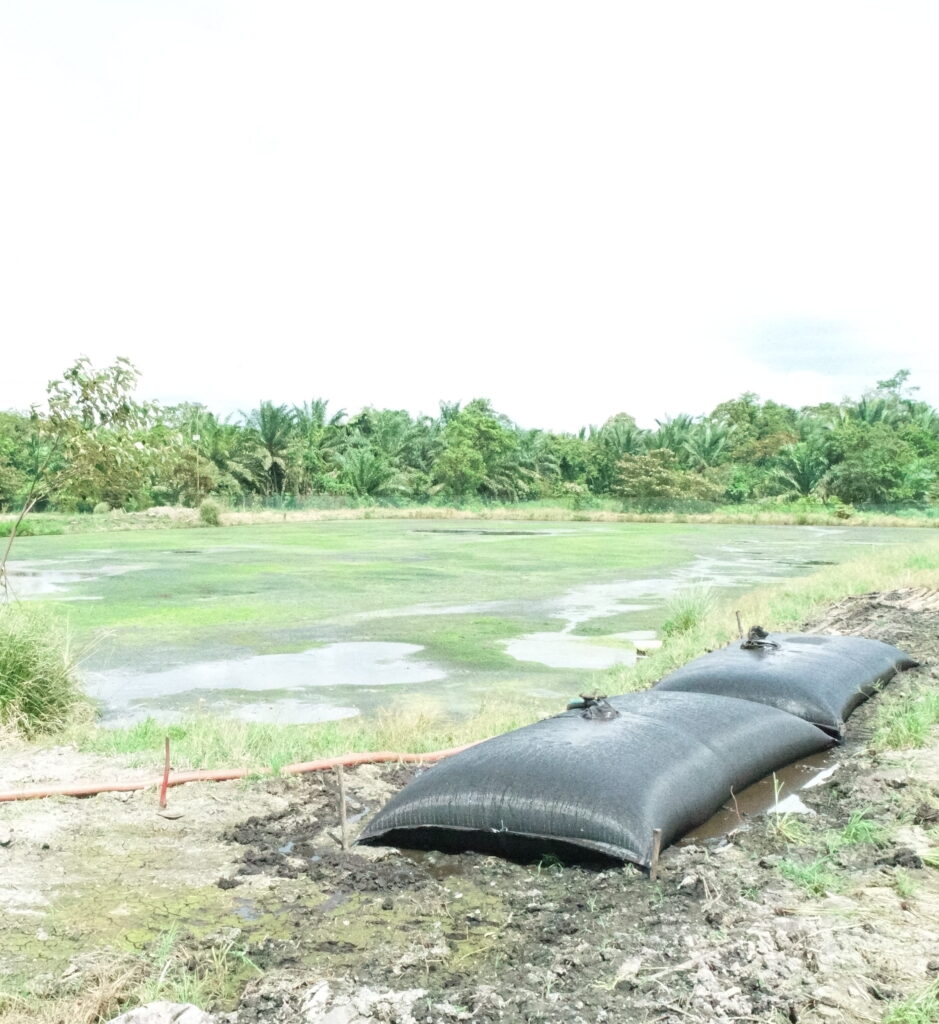 Palm Oil Waste Pond Dewatering with Geotextile Tube