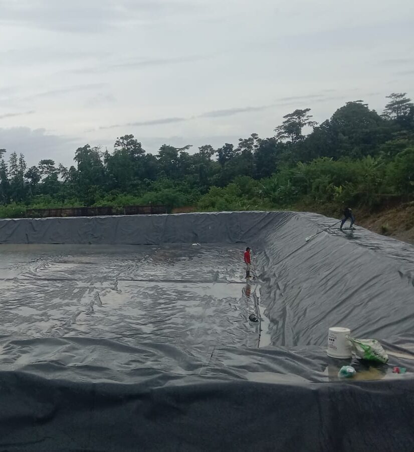 Lining Tambak Vaname dengan HDPE Geomembrane