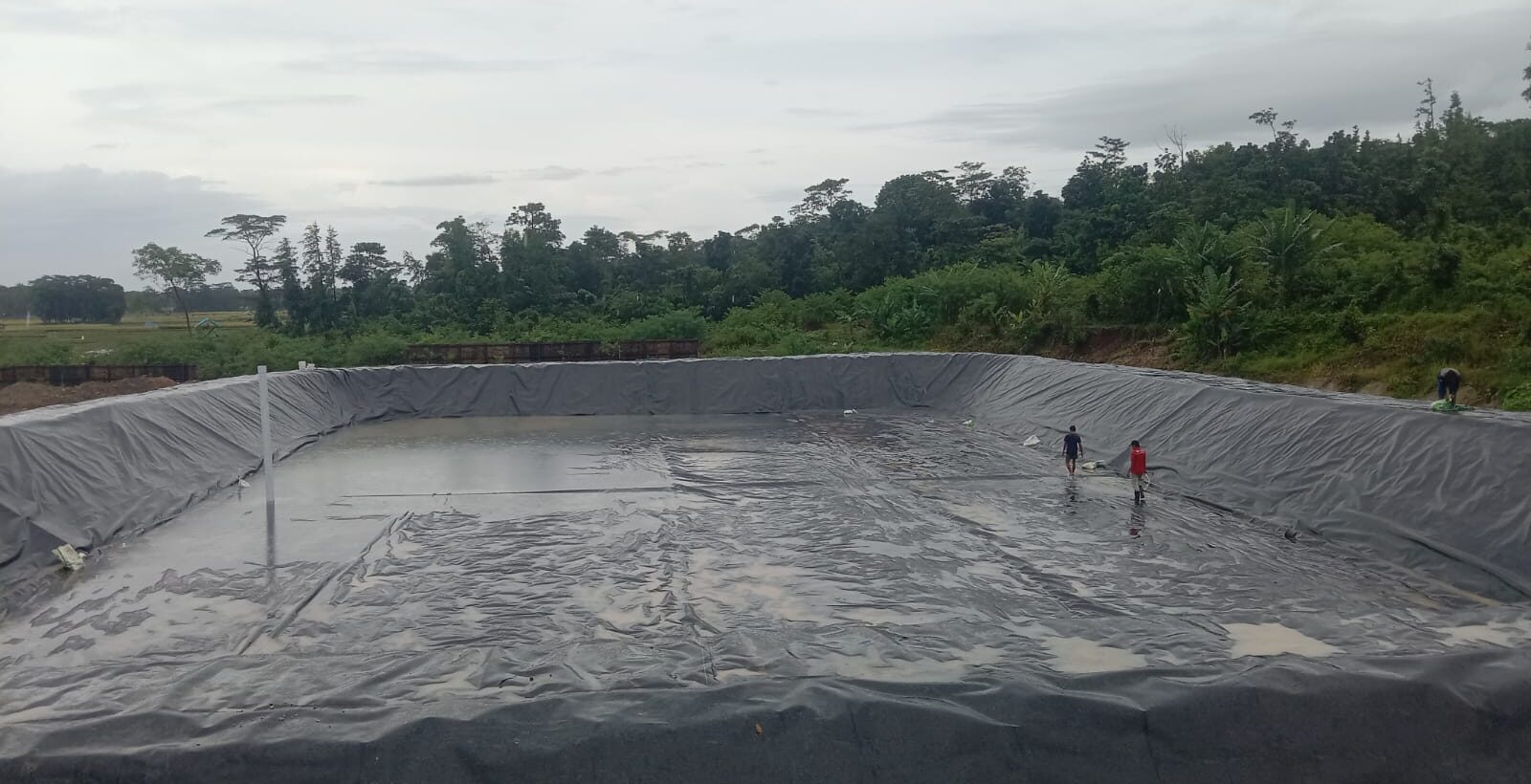 Lining Tambak Vaname dengan HDPE Geomembrane
