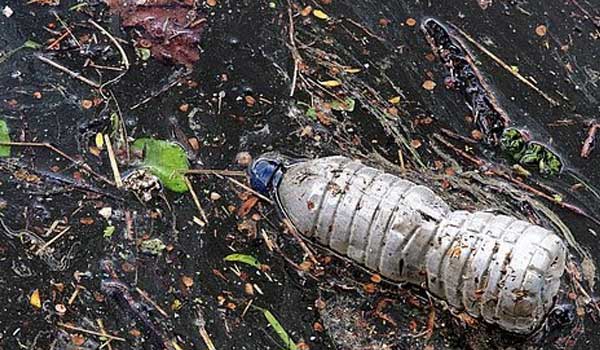 Pencegahan Pencemaran di Laut