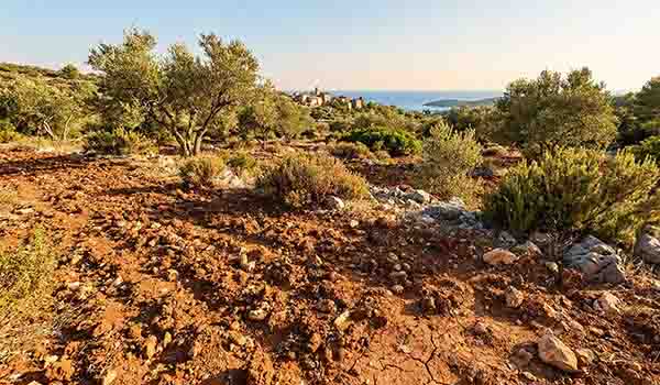 Kondisi tanah mediteran, tanah merah batuan kapur
