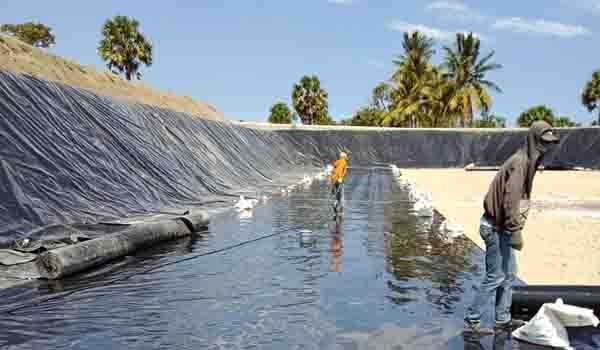 Pemasangan geomembrane sebagai lapisan kedap air untuk kolam tambak
