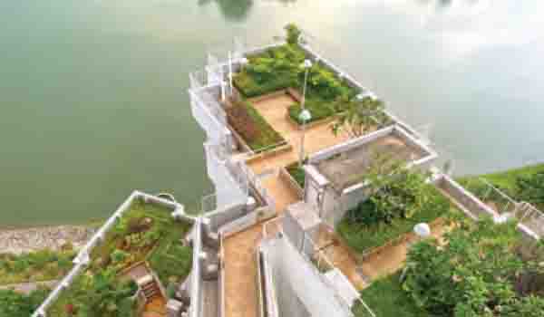 Roof Garden: Solusi Hunian Sejuk & Estetik di Perkotaan