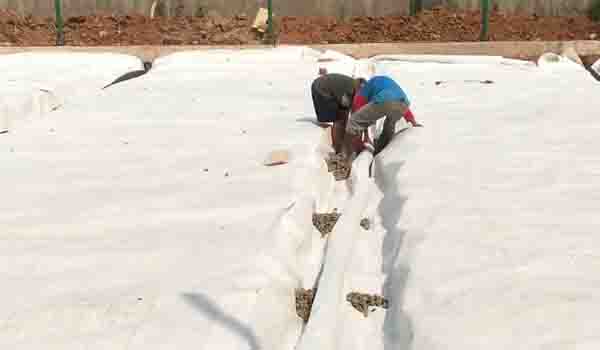 prsoses pemasangan drainase di lapangan sepak bola menggunakan geopipe dan geotextile non woven