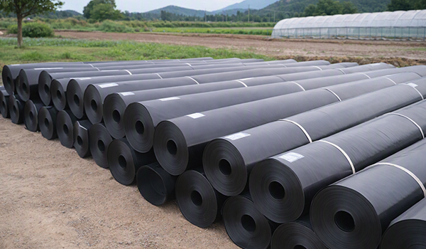 geomembran hdpe