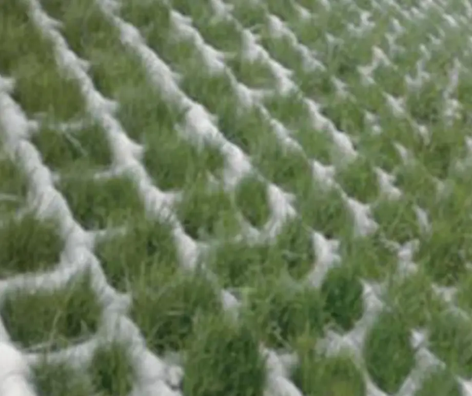 Plantable concrete mattress