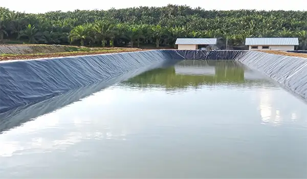 Authentic HDPE geomembrane protects demanding projects from leaks